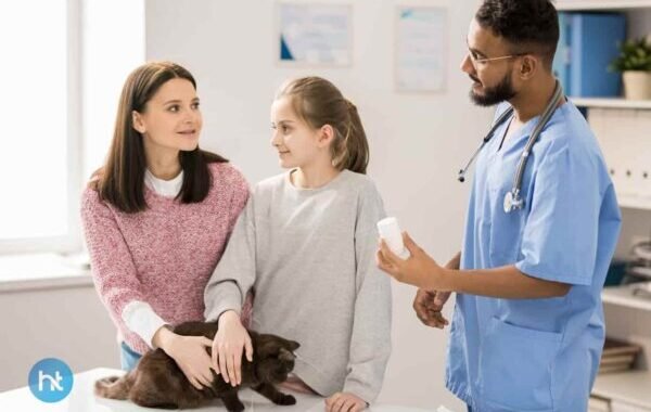 Hati-hati,Ini loh 4 Masalah Kesehatan Anak Kucing Ini