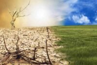 Artikel Pemanasan Global : Penyebab, Dampak Cara Mengatasi