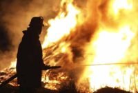 3 Cara Mencari Artikel Kebakaran Hutan Terbaru,Terpercaya