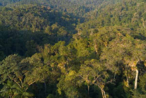 6 Cerita Legenda Pulau di Indonesia, Masih Jadi Misteri 5 Kalimantan