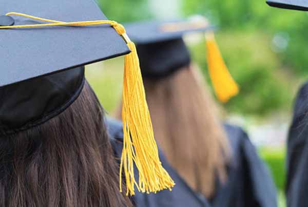 Lihat Background Pendidikan Kamu