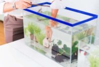 Bikin Aquascape Sederhana! Berikut 5 Tahap Pembuatannya