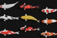 4 Jenis Ikan Koi Yang Populer Dikalangan Penghobi