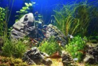 Beberapa Jenis Batu Aquascape Yang Sering Dipakai