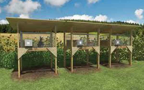 kandang kelinci di luar ruangan