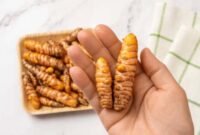 Segudang Manfaat Temulawak Yang Baik Untuk Kesehatan